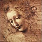  percezione artistica